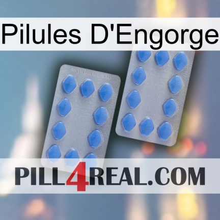 Engorge Pills 20